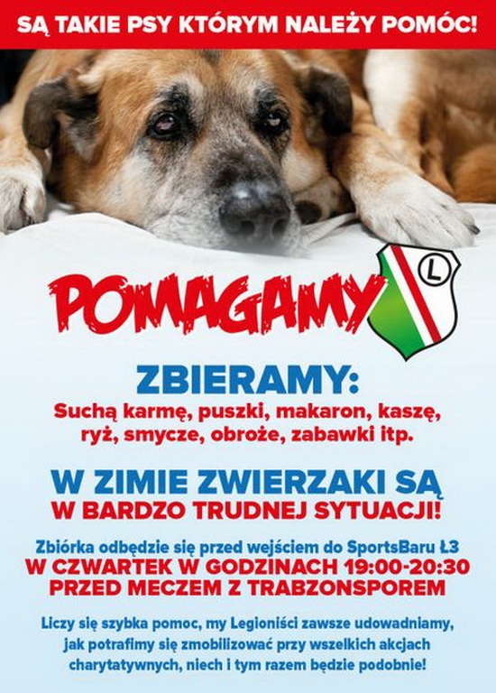 Zbiórka dla psów potrzebujących pomocy