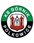 Górnik Polkowice